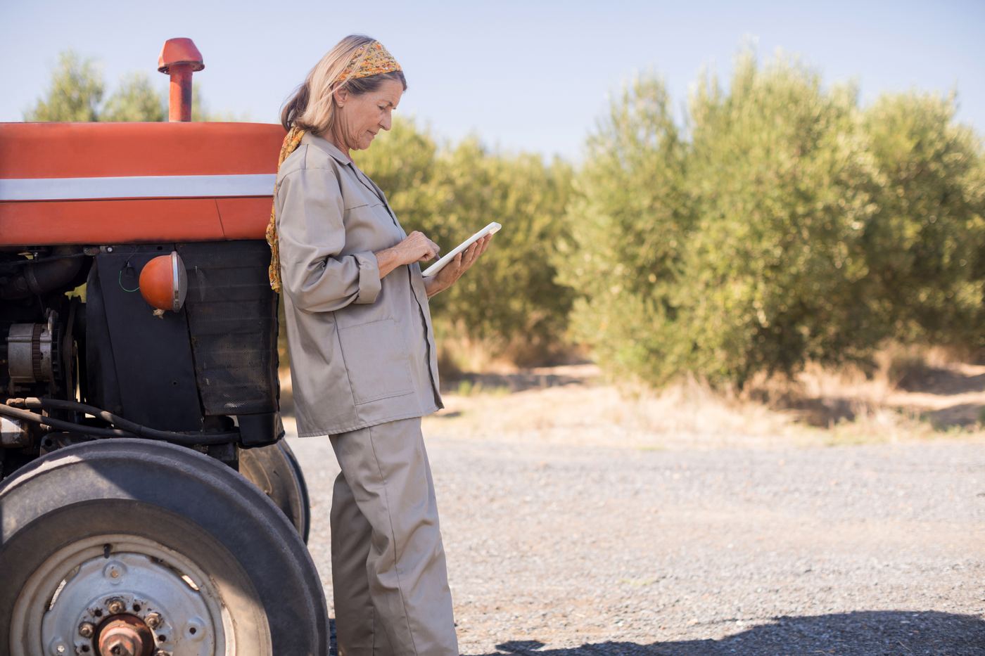 A farmer reading irrigation advice on a tablet beside her tractor, olive trees behind her